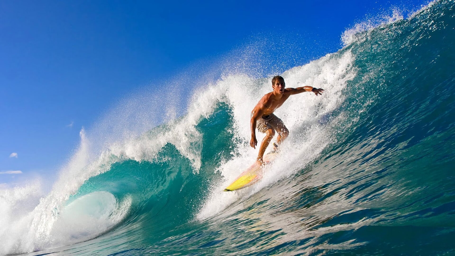 橙色风暴席卷东瀛,德里赫特一锤定音,哥伦比亚狂胜日本背后的战术革命